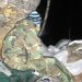 Fotogalerie - Cesty po čechách - Velikonoční puťák '08