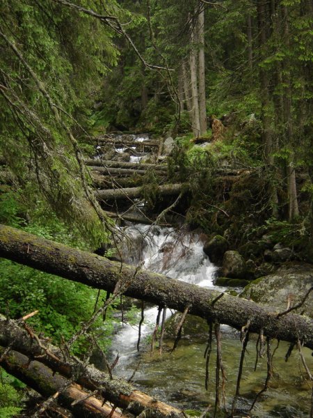 VysokeTatry05_035