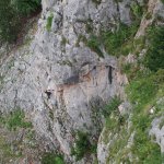 HoheWand_013