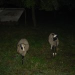 Adrspach06_003