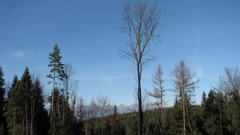 Slovensky_Raj_08_033