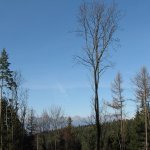 Slovensky_Raj_08_033