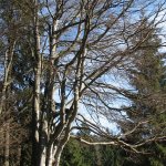 Slovensky_Raj_08_059