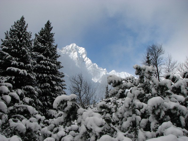 Zamkovskeho_Chata_Ledy_2010_005