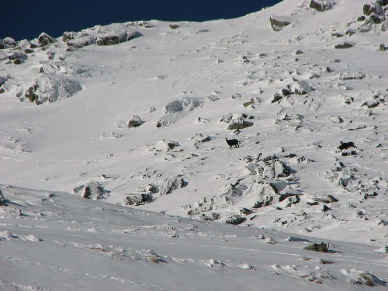 Zamkovskeho_Chata_Ledy_2010_019