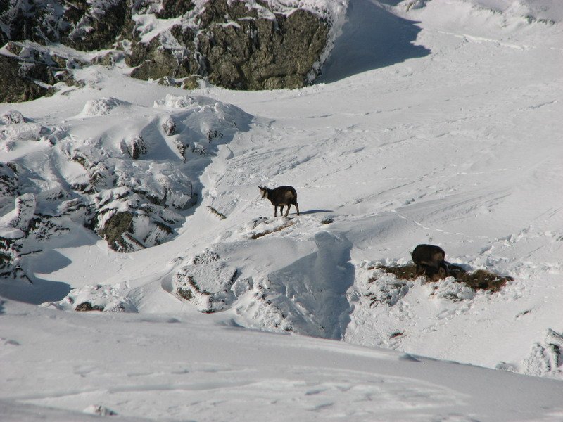 Zamkovskeho_Chata_Ledy_2010_023