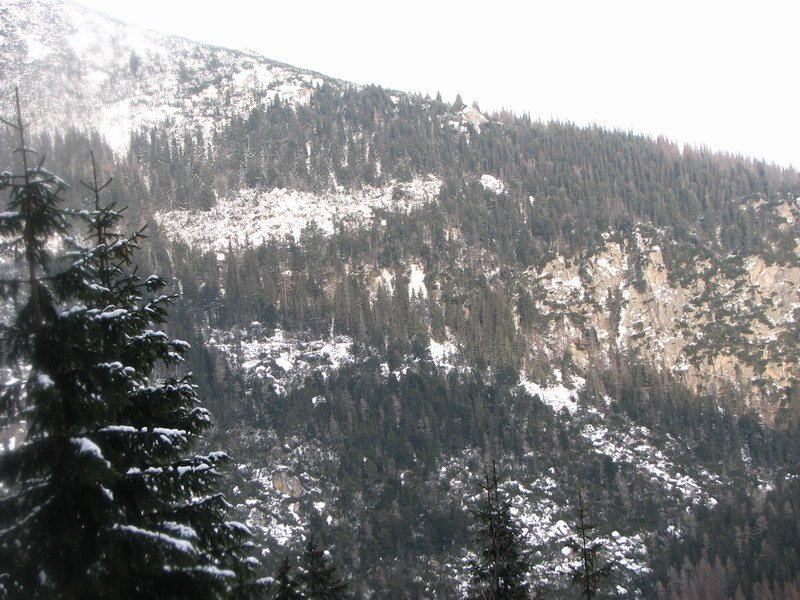 Zamkovskeho_Chata_Ledy_2010_047