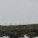 Vysoke_Taury_023